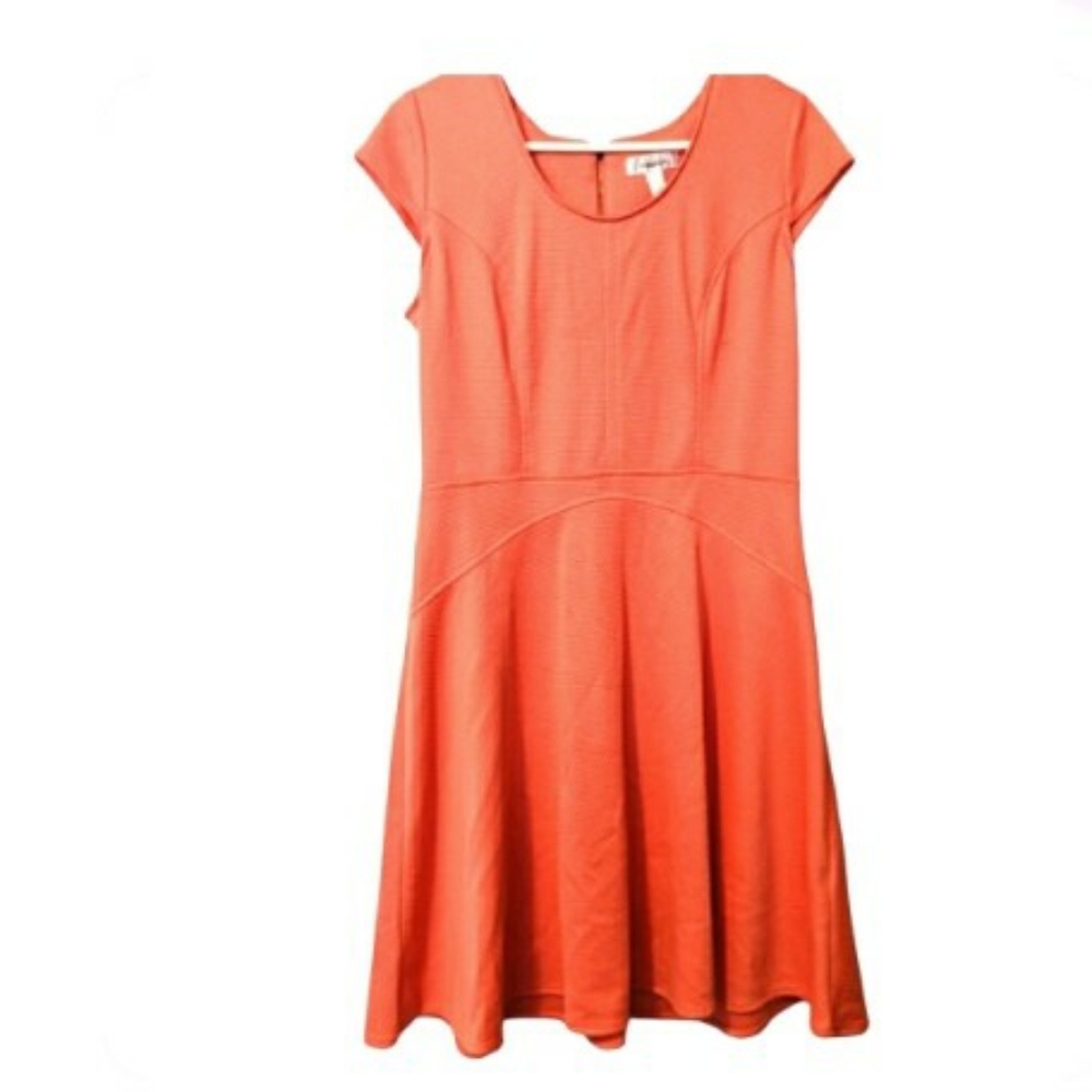 🌞 3/$15 Dress Barn Fit and Flare Dress Size 12